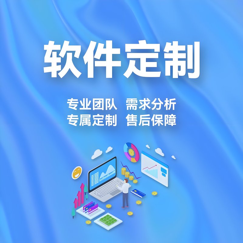 定制开发软件引领企业创新